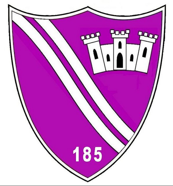 BATALIONUL 185 SPRIJIN LOGISTIC - ecuson
(185th Logistic Support Battalion)