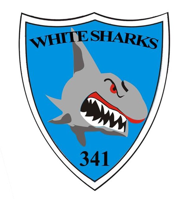 BATALIONUL 341 INFANTERIE ,,CONSTANȚA” - Ecuson de maneca pentru Teatrele de Operații