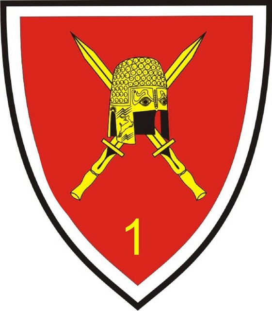 BRIGADA 1 MECANIZATA - ecuson
(1st Mechanized Brigade)