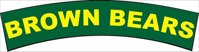 Batalionul 206 Artilerie „General Mihail Lacatusu” - ecuson denumire simbolica
(206th „General Mihail Lacatusu” Artillery Battalion, symbolic name)