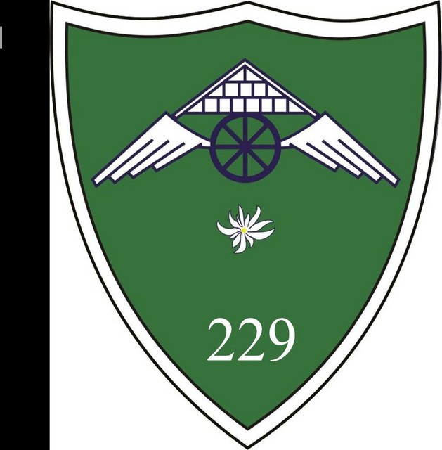 Batalionul 229 Sprijin Logistic - ecuson