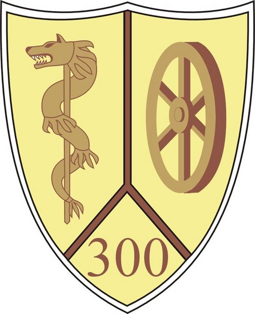 Batalionul 300 Sprijin ,,Sarmis” – ecuson camuflaj desert