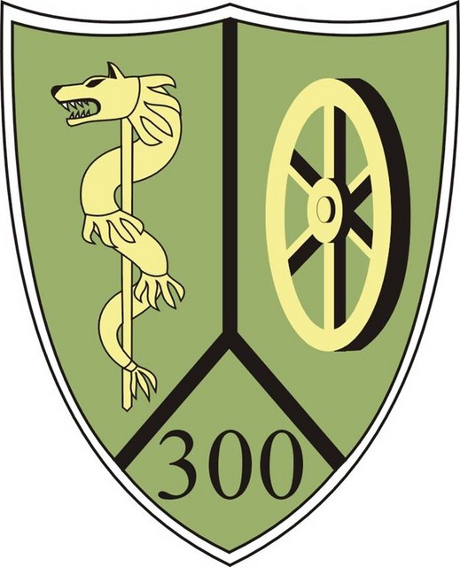 Batalionul 300 Sprijin ,,Sarmis” – ecuson camuflaj padure