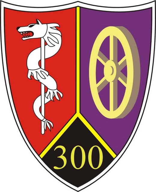 Batalionul 300 Sprijin ,,Sarmis” – ecuson de maneca