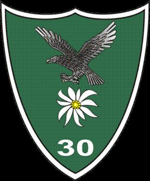 Batalionul 30 Vanatori de Munte “Dragoslavele” - ecuson
(30th “Dragoslavele” Mountain Battalion)
