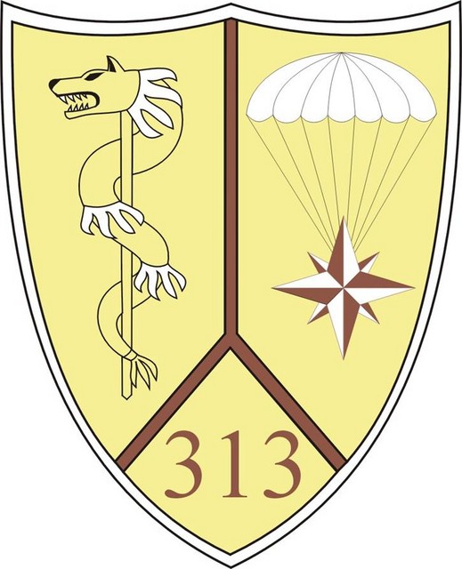 Batalionul 313 Cercetare ,,Burebista”- ecuson camuflaj desert