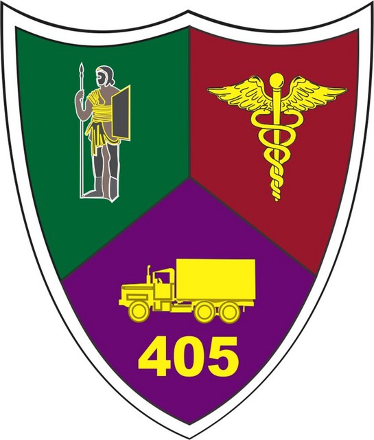 Batalionul 405 Sprijin Logistic „Nasaud” - ecuson tinuta de oras