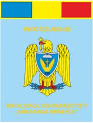 Batalionul 630 Parasutisti „Smaranda Braescu” - fanion