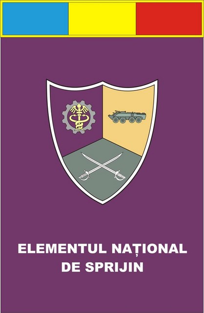 ELEMENTUL NATIONAL DE SPRIJIN (CLI) - fanion