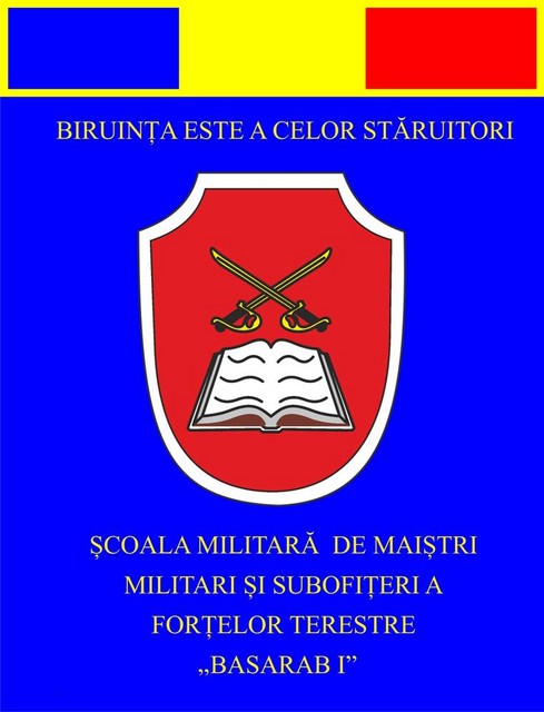 Scoala Militara de Maistri Militari si Sobofiteri a Fortelor Terestre „Basarab I” - fanion