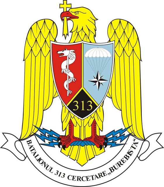 Batalionul 313 Cercetare ,,Burebista” - insemn heraldic