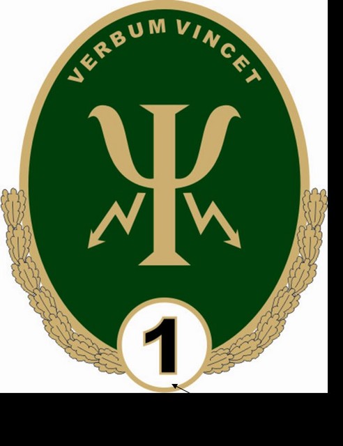 CENTRUL DE OPERATII PSIHOLOGICE - insigna specialist de clasa