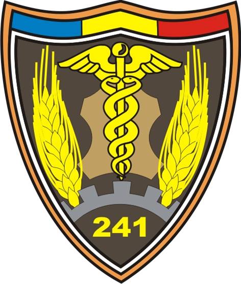 DEPOZITUL 241 INTENDENTA „GENERAL MIRCEA MANESCU ” - insigna