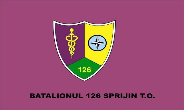 BATALIONUL 126 SPRIJIN T.O. - steag de identificare