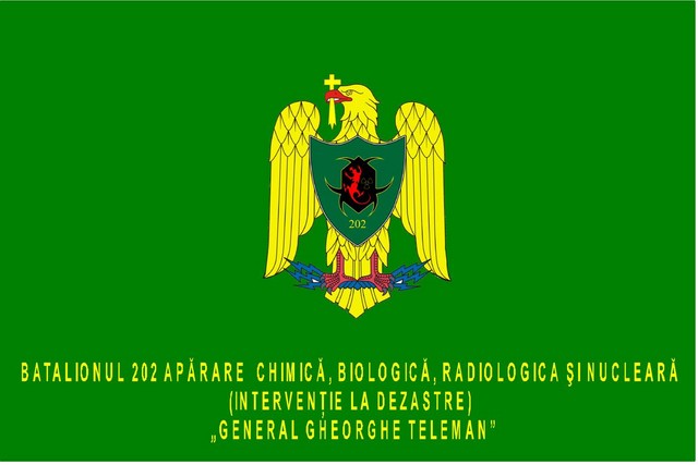 BATALIONUL 202 APARARE CBRN(I.D.) „GENERAL GHEORGHE TELEMAN” - steag de identificare