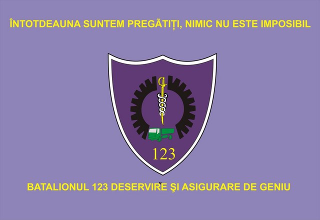 Batalionul 123 Deservire si Asigurare de Geniu - steag de identificare
