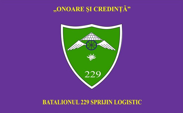Batalionul 229 Sprijin Logistic - steag de identificare