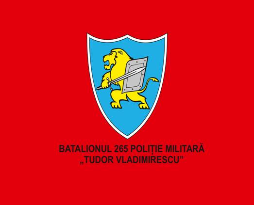 Batalionul 265 poliție militara ,,TUDOR VLADIMIRESCU”  - Steag de identificare