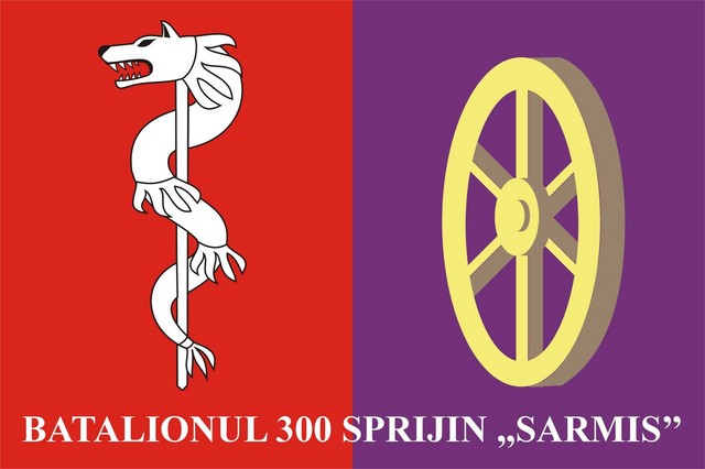 Batalionul 300 Sprijin ,,Sarmis” - steag de identificare