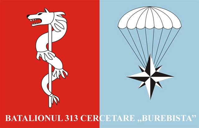 Batalionul 313 Cercetare ,,Burebista” - steag de identificare