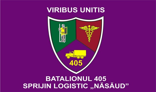 Batalionul 405 Sprijin Logistic „Nasaud” - steag de identificare
