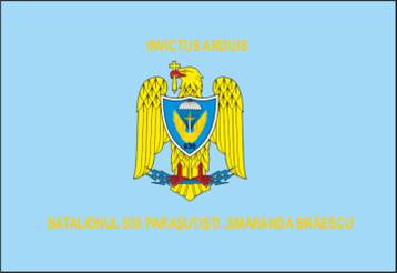 Batalionul 630 Parasutisti „Smaranda Braescu” - steag de identificare