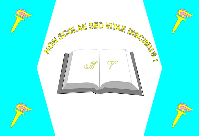 Colegiul National Militar Mihai Viteazul - Steag de Identificare - verso