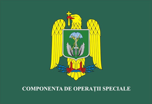 Componenta de operatii Speciale - Steag de Identificare