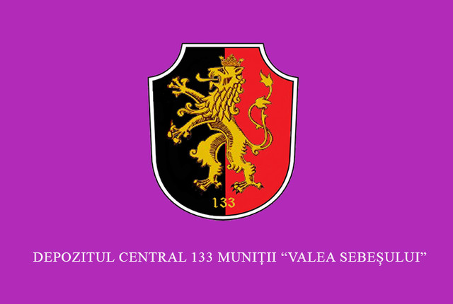 Depozitul Central 133 Muniti ,,VALEA SEBESULUI“ - Steag de identificare -  fata