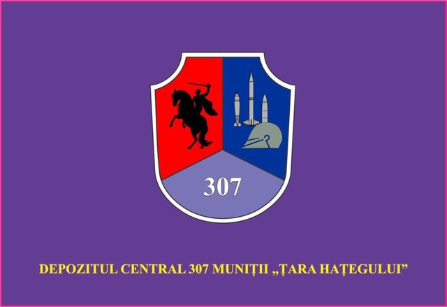 Depozitul Central 307 Munitii ,,TARA HATEGULUI“ - Steag de identificare