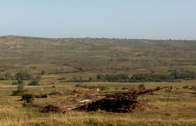 Histria 15 - la Ziua Distinșilor Vizitatori, in Poligonul Cincu