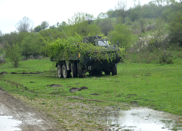Exercițiul SCORPIONS FURY 

foto: Catalin Dinu
