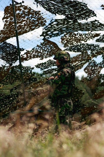 Militari din Batalionul 812 Infanterie 