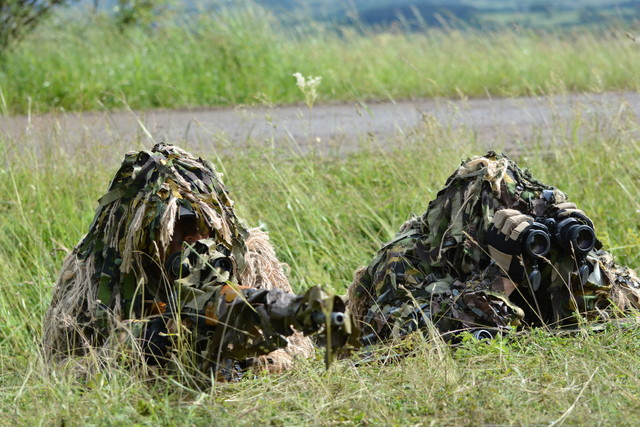 Ziua Distinșilor Vizitatori la exercițiul multinațional SARMIS-16 

