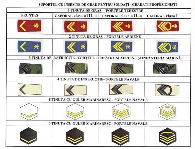 Insemne de grad pentru soldati si gradati profesionisti 
