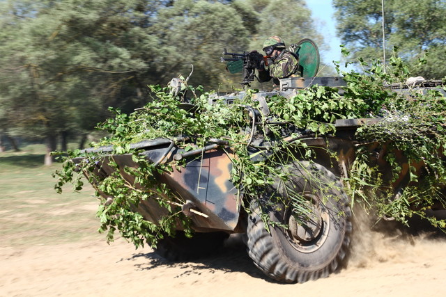 Saber Guardian 16 
Foto: Cristian Surugiu