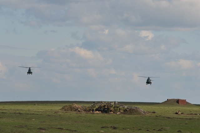 Ziua Distinsilor Vizitatori, in cadrul exercitiului multinational 