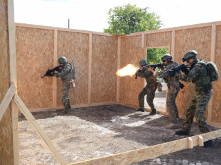 NEPTUNE STRIKE 19 - „Ziua Distinșilor Vizitatori” Foto:Cristian Vlasceanu