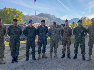 Ziua Distinșilor Vizitatori în cadrul exercițiului multinațional „CETATEA 2019” Foto: