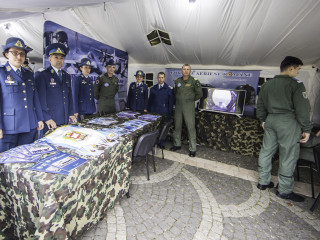 Ziua Armatei României sărbătorită în Parcul Carol I din București. Foto:Bogdan Aaron Pantilimon