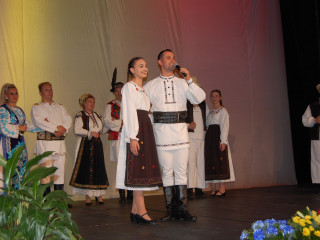 Ziua Armatei României sărbătorită în Satu Mare. Foto:Andreea Onița