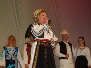 Ziua Armatei României sărbătorită în Satu Mare. Foto:Andreea Onița