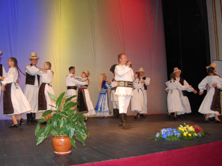 Ziua Armatei României sărbătorită în Satu Mare. Foto:Andreea Onița