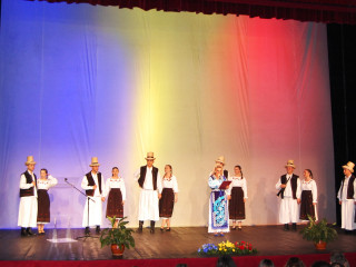 Ziua Armatei României sărbătorită în Satu Mare. Foto:Andreea Onița