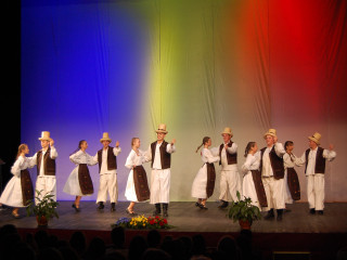 Ziua Armatei României sărbătorită în Satu Mare. Foto:Andreea Onița