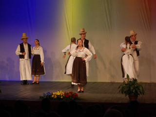 Ziua Armatei României sărbătorită în Satu Mare. Foto:Andreea Onița
