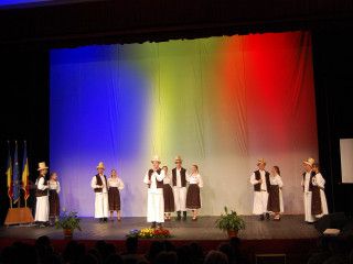 Ziua Armatei României sărbătorită în Satu Mare. Foto:Andreea Onița