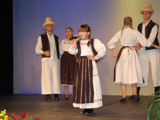 Ziua Armatei României sărbătorită în Satu Mare. Foto:Andreea Onița