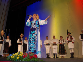Ziua Armatei României sărbătorită în Satu Mare. Foto:Andreea Onița