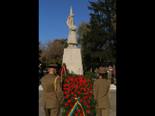 Ziua Armatei României sărbătorită la Carei Foto: